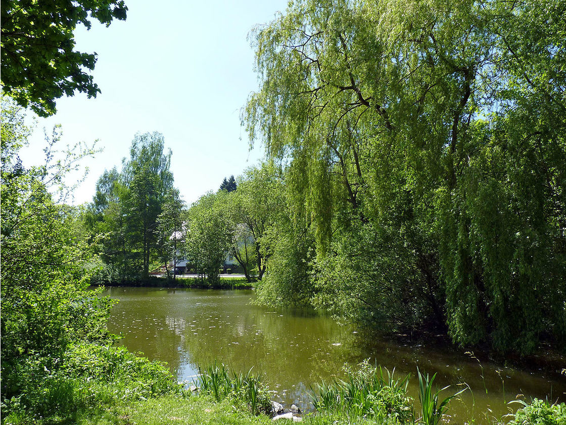 Impressionen aus Naumburg (Foto: Karl-Franz Thiede)